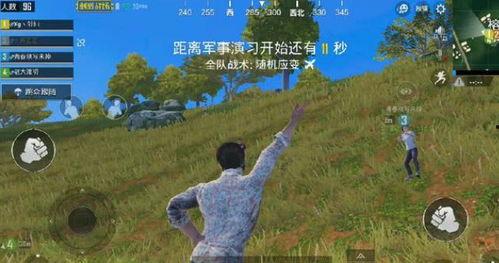 娱乐大瓜在线吃鸡游戏,在线吃鸡游戏,畅享欢乐竞技盛宴