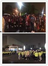 娱乐吃瓜君视频看热闹,揭秘娱乐圈幕后热点,带你领略明星们的“热闹”生活